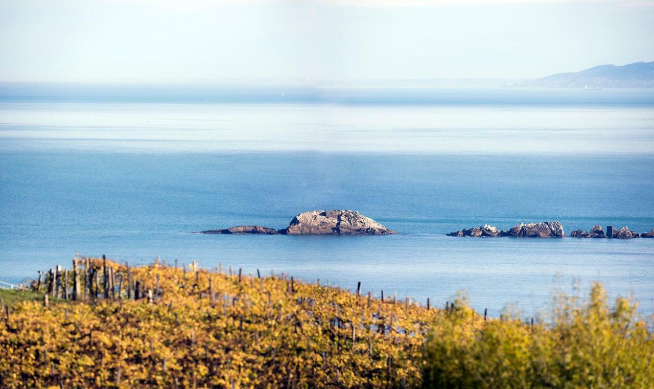 Apartament Aterian. Sanz Enea Zarauz Zewnętrze zdjęcie